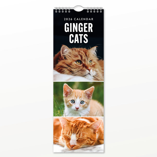 Red Robin Rode Katten Slimline Kalender 2026