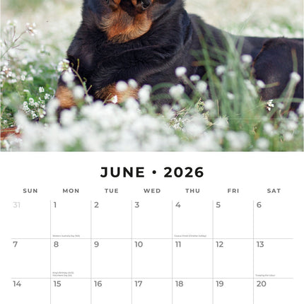 Red Robin Rottweiler Kalender 2026