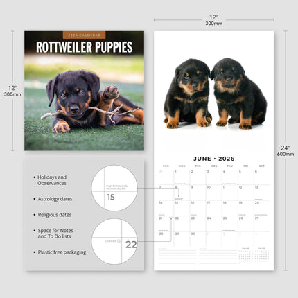 Red Robin Rottweiler Puppies Kalender 2026