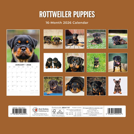 Red Robin Rottweiler Puppies Kalender 2026