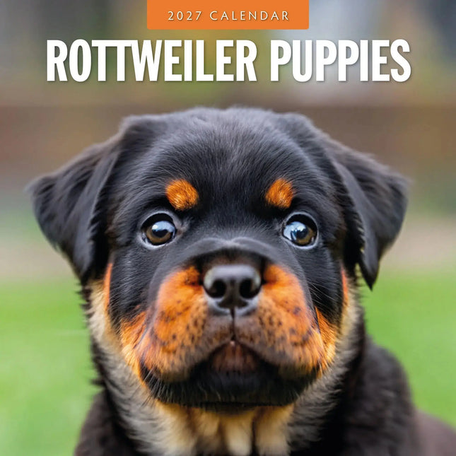 Red Robin Rottweiler Puppies Kalender 2027