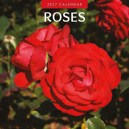 Red Robin Rozen Kalender 2027