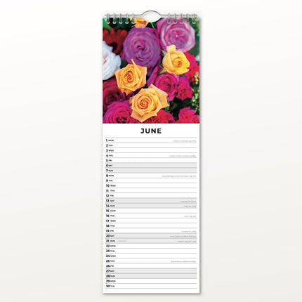 Red Robin Rozen Slimline Kalender 2026