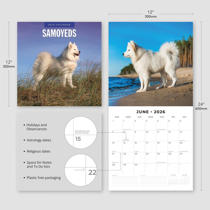 Red Robin Samojeed Kalender 2026
