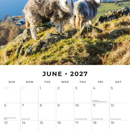 Red Robin Schapen Kalender 2027