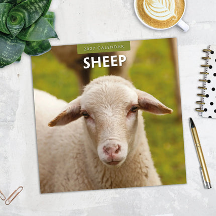 Red Robin Schapen Kalender 2027