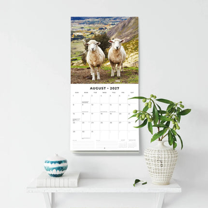 Red Robin Schapen Kalender 2027