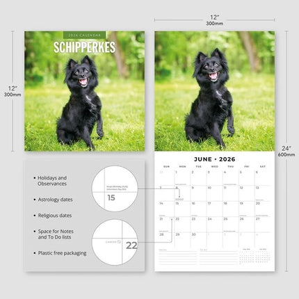Red Robin Schipperke Kalender 2026