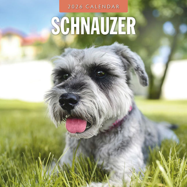 Red Robin Schnauzer Kalender 2026