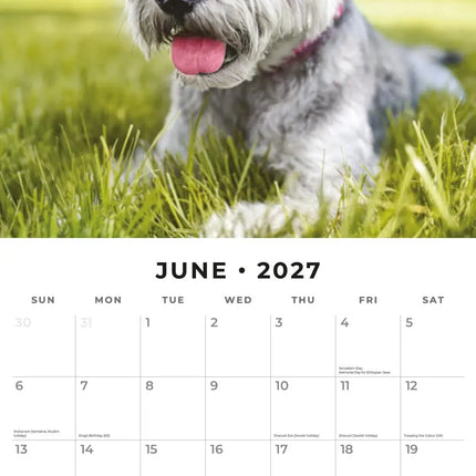 Red Robin Schnauzer Kalender 2027