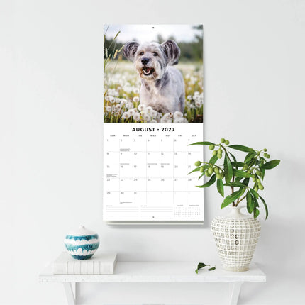 Red Robin Schnauzer Kalender 2027