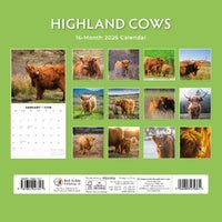 Red Robin Schotse Hooglander Kalender 2026