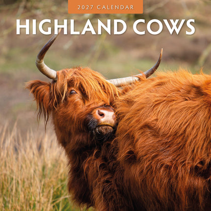 Red Robin Schotse Hooglanders Kalender 2027