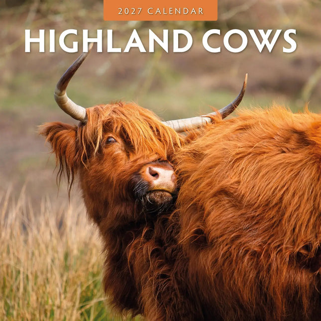 Red Robin Schotse Hooglanders Kalender 2027