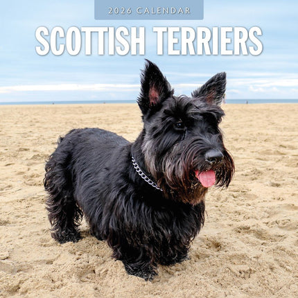 Red Robin Schotse Terrier Kalender 2026