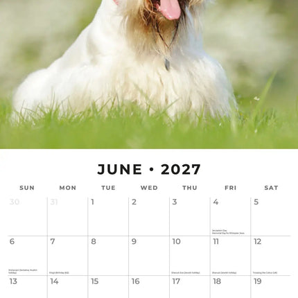 Red Robin Schotse Terrier Kalender 2027
