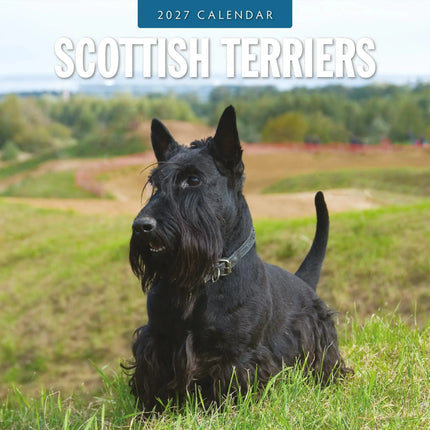 Red Robin Schotse Terrier Kalender 2027