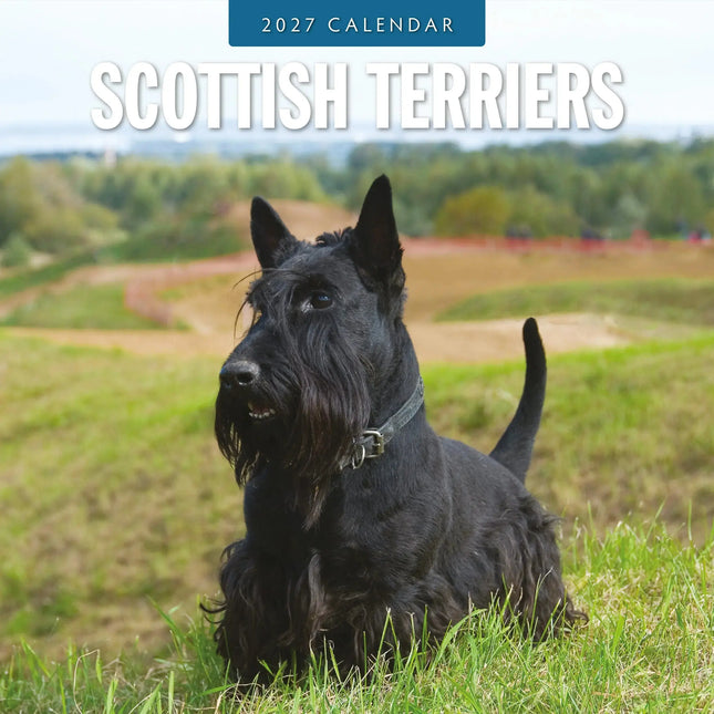 Red Robin Schotse Terrier Kalender 2027