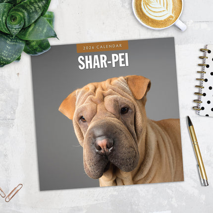 Red Robin Shar Pei Kalender 2026