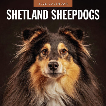 Red Robin Shetland Sheepdog Kalender 2026
