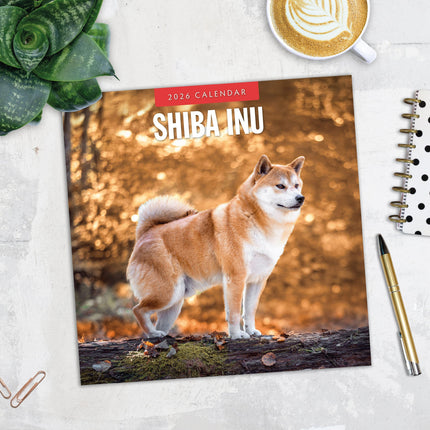 Red Robin Shiba Inu Kalender 2026