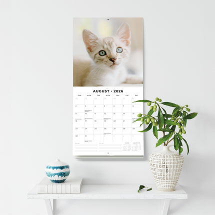 Red Robin Siamees Kalender 2026