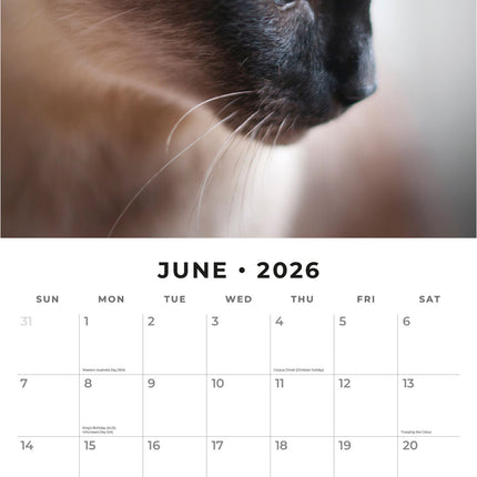 Red Robin Siamees Kalender 2026