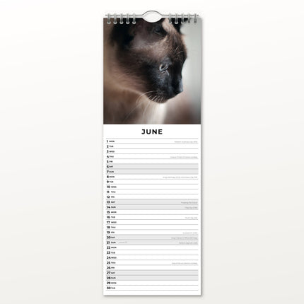 Red Robin Siamees Slimline Kalender 2026