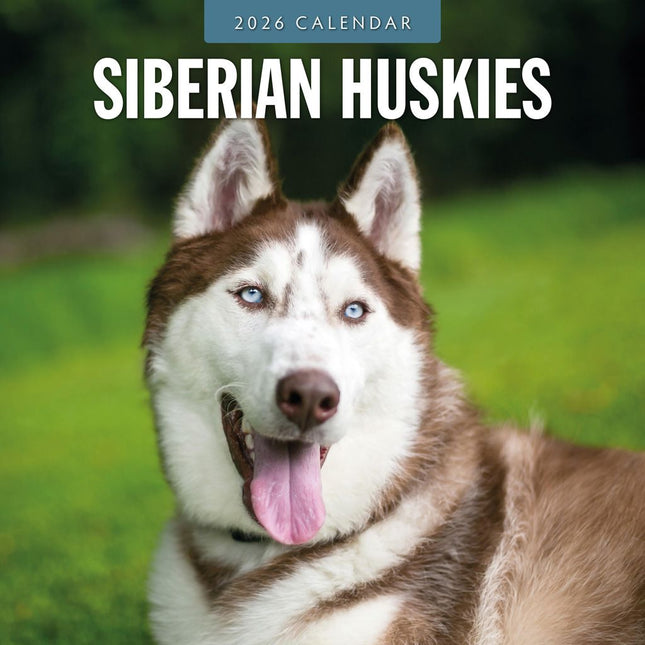 Red Robin Siberian Husky Kalender 2026