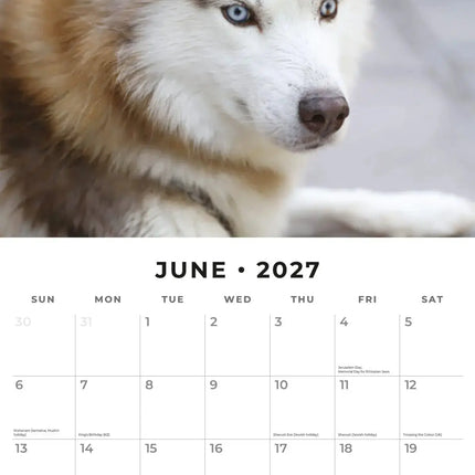 Red Robin Siberian Husky Kalender 2027