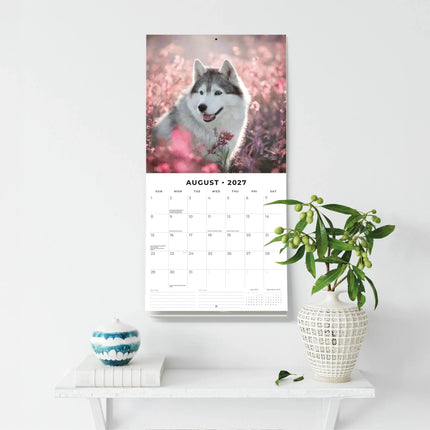Red Robin Siberian Husky Kalender 2027