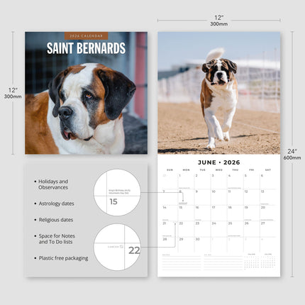 Red Robin Sint Bernard Kalender 2026