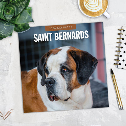 Red Robin Sint Bernard Kalender 2026