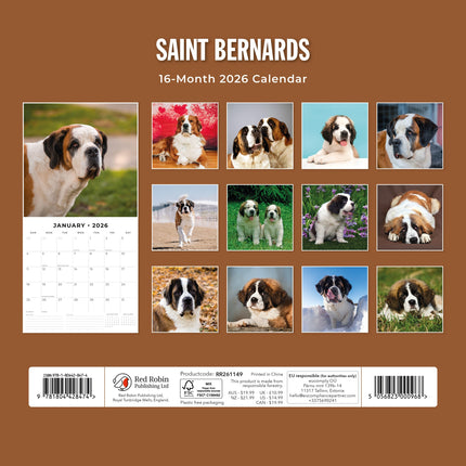 Red Robin Sint Bernard Kalender 2026
