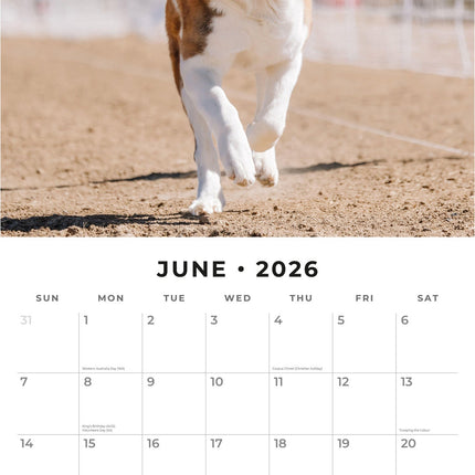 Red Robin Sint Bernard Kalender 2026