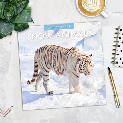 Red Robin Snow Animals Kalender 2026