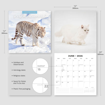 Red Robin Snow Animals Kalender 2026