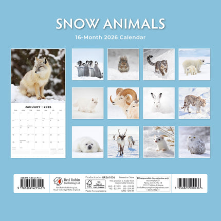 Red Robin Snow Animals Kalender 2026