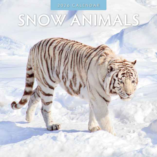Red Robin Snow Animals Kalender 2026