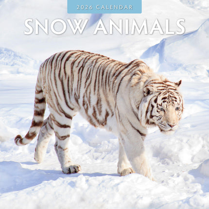 Red Robin Snow Animals Kalender 2026