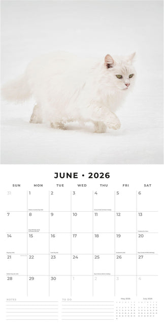 Red Robin Snow Animals Kalender 2026