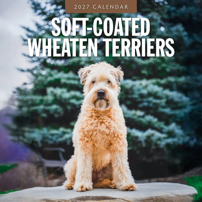 Red Robin Softcoated Wheaten Terrier Kalender 2027