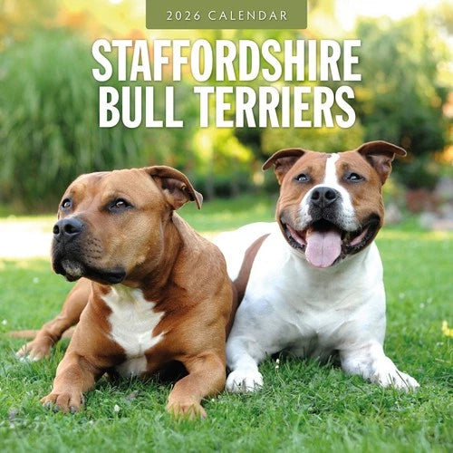 Red Robin Staffordshire Bull Terrier Kalender 2026