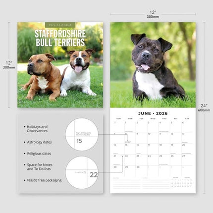Red Robin Staffordshire Bull Terrier Kalender 2026