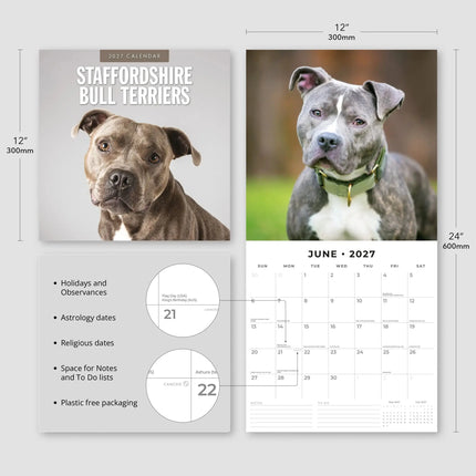 Red Robin Staffordshire Bull Terrier Kalender 2027