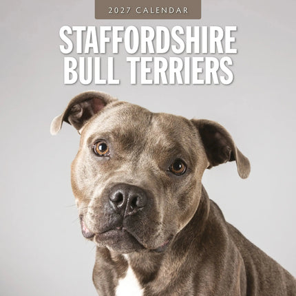 Red Robin Staffordshire Bull Terrier Kalender 2027