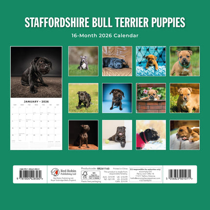 Red Robin Staffordshire Bull Terrier Puppies Kalender 2026