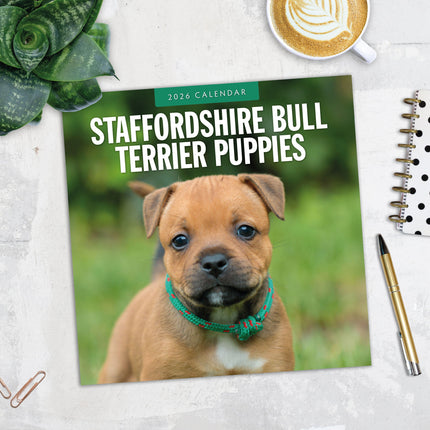 Red Robin Staffordshire Bull Terrier Puppies Kalender 2026