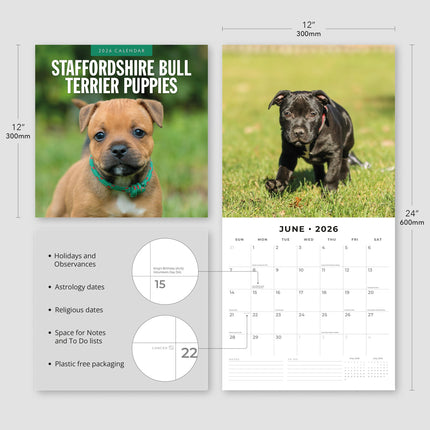 Red Robin Staffordshire Bull Terrier Puppies Kalender 2026
