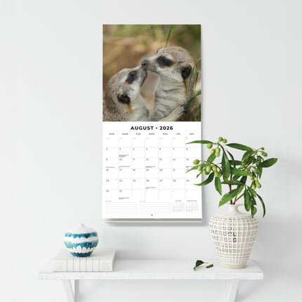 Red Robin Stokstaartjes Kalender 2026